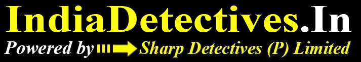 india detectcives india detectives logo